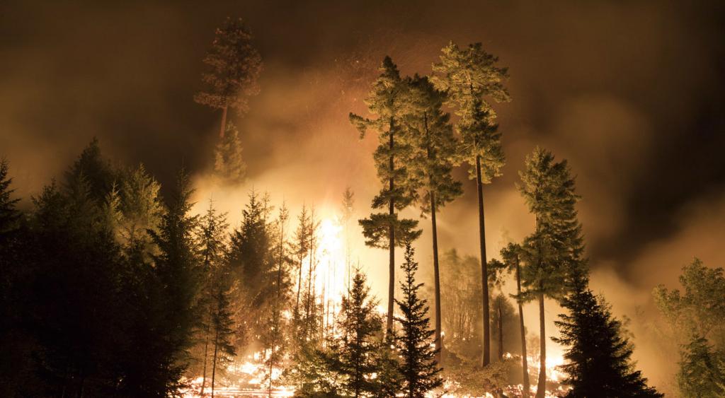 Fires